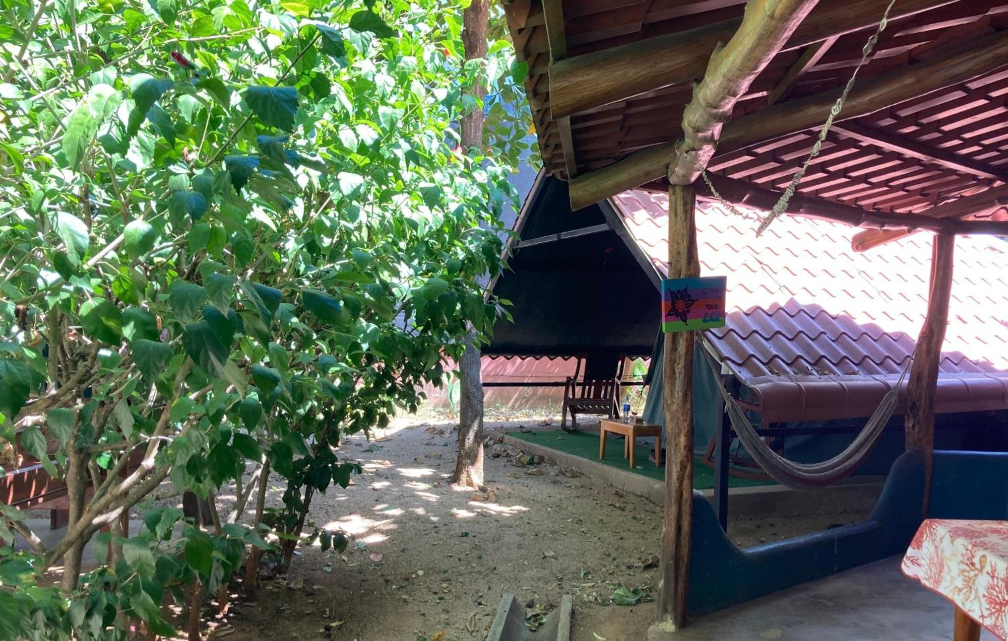 Tamahostel & Glamping Tamarindo Exteriör bild